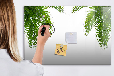 Magnetic erase board Palm leaves nature