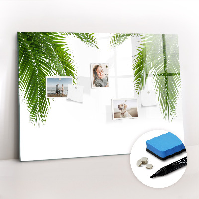 Magnetic erase board Palm leaves nature