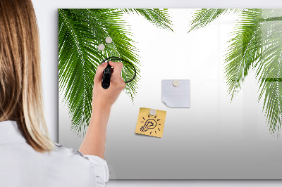 Magnetic board for drawing Palm Leaves Nature