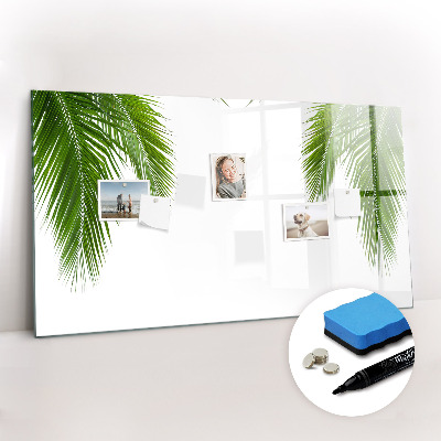 Magnetic board for drawing Palm Leaves Nature