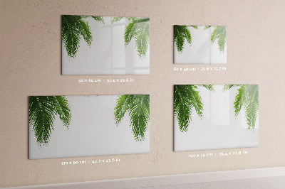 Magnetic erase board Palm leaves nature