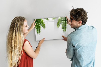 Magnetic erase board Palm leaves nature