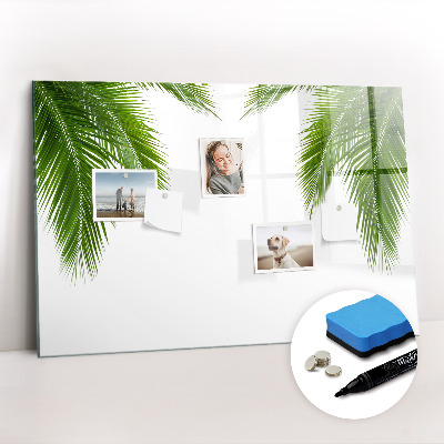 Magnetic erase board Palm leaves nature