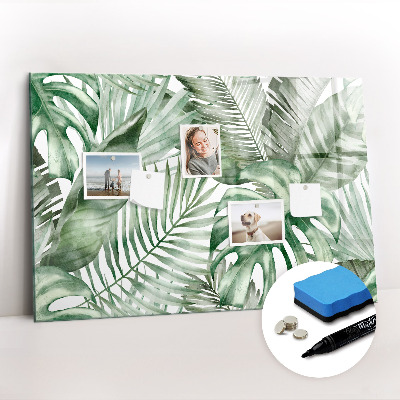 Magnetic erase board Plant leaves