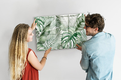 Magnetic erase board Plant leaves