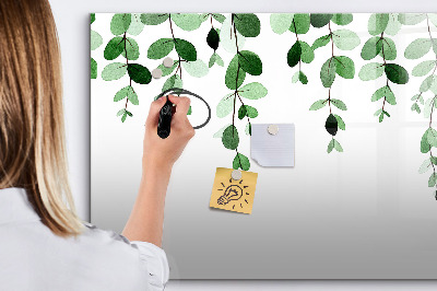 Magnetic board for drawing Plant leaves