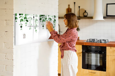 Magnetic board for drawing Plant leaves