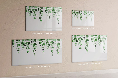 Magnetic board for drawing Plant leaves