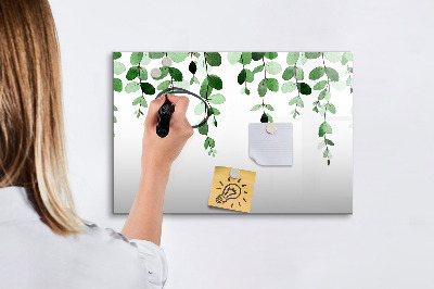 Magnetic board for drawing Plant leaves