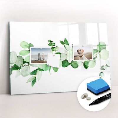 Magnetic drawing board A branch of a plant