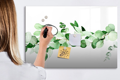 Magnetic drawing board A branch of a plant