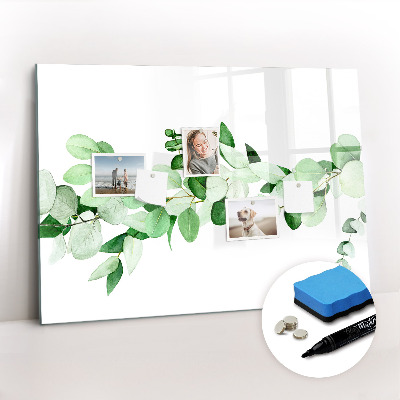 Magnetic erase board A branch of a plant