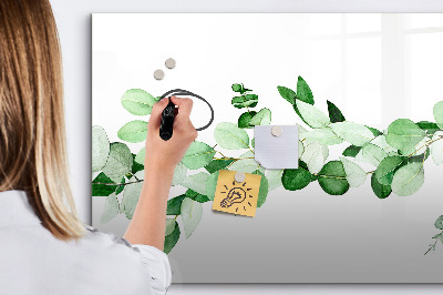 Magnetic erase board A branch of a plant