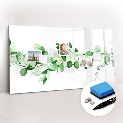Magnetic erase board A branch of a plant