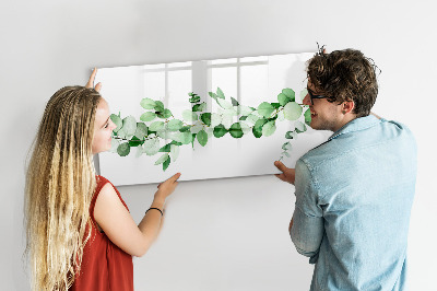 Magnetic erase board A branch of a plant