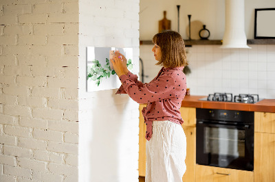 Magnetic erase board A branch of a plant