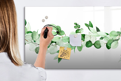 Magnetic erase board A branch of a plant