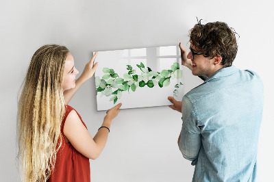 Magnetic erase board A branch of a plant