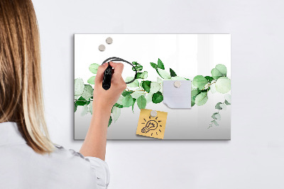 Magnetic erase board A branch of a plant