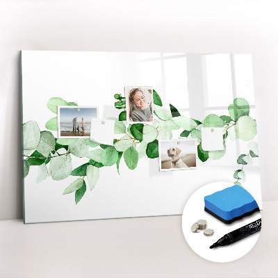Magnetic erase board A branch of a plant