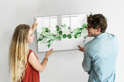 Magnetic drawing board A branch of a plant