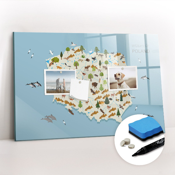 Magnetic writing board Polish Animal Map
