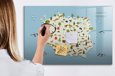 Magnetic writing board Polish Animal Map