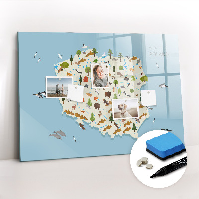 Magnetic writing board Polish Animal Map