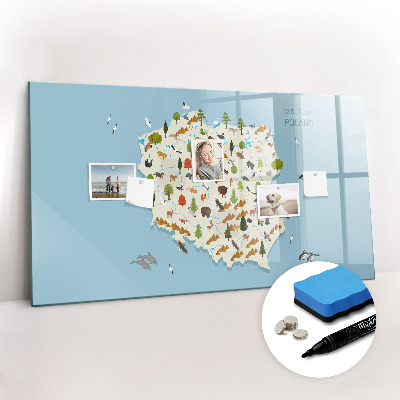 Magnetic writing board Polish Animal Map
