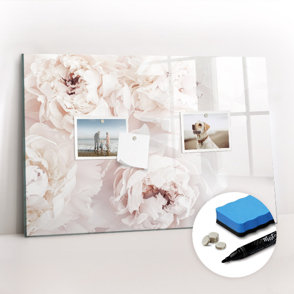Magnetic board for drawing Peony flowers