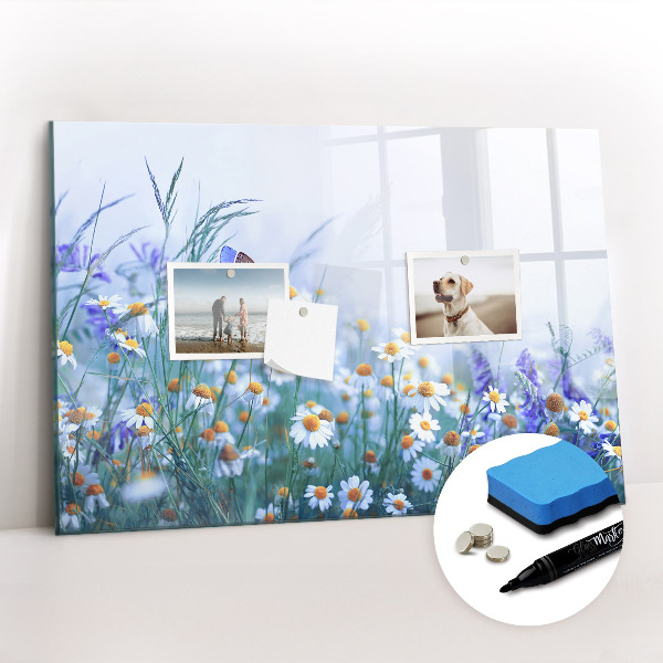 Magnetic writing board Butterfly in the meadow