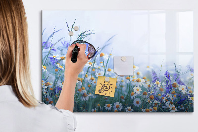 Magnetic board for drawing Butterfly in the meadow