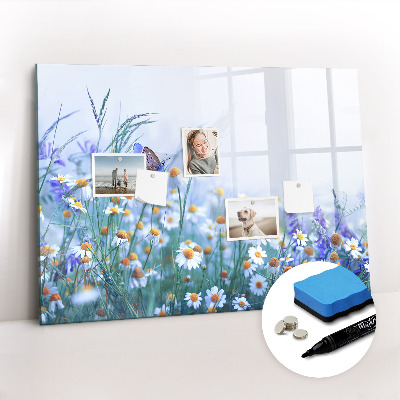 Magnetic writing board Butterfly in the meadow