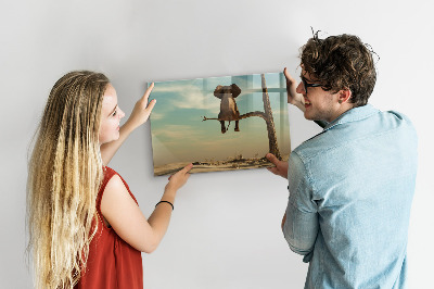 Magnetic board for drawing Elephant on a tree