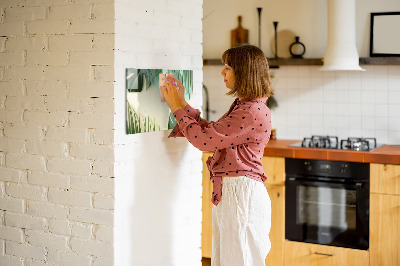 Magnetic board for drawing Monstera leaves