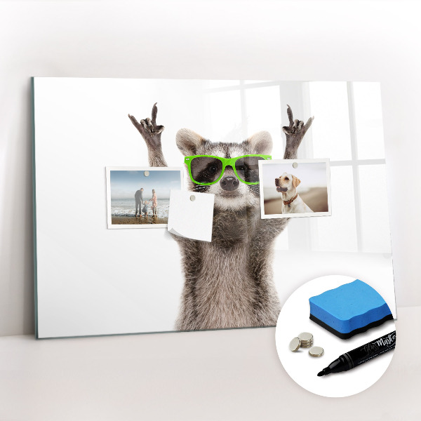 Magnetic board for drawing Raccoon with glasses