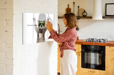 Magnetic board for drawing Raccoon with glasses