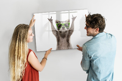 Magnetic erase board Raccoon with glasses