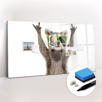 Magnetic board for drawing Raccoon with glasses