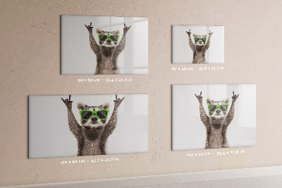 Magnetic erase board Raccoon with glasses