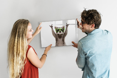 Magnetic board for drawing Raccoon with glasses