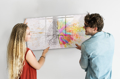 Magnetic board with marker Abstraction brain