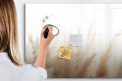 Magnetic erase board Cereal abstraction