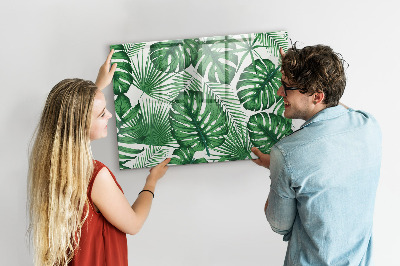 Magnetic erase board Monstera leaves