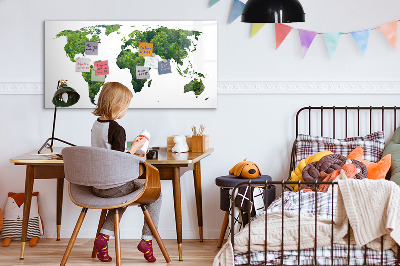 Magnetic erase board World map ecology