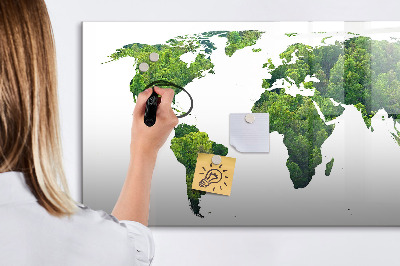 Magnetic erase board World map ecology