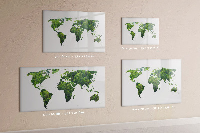 Magnetic erase board World map ecology