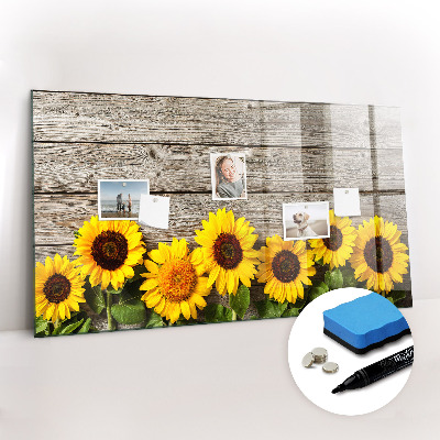 Magnetic erase board Sunflowers