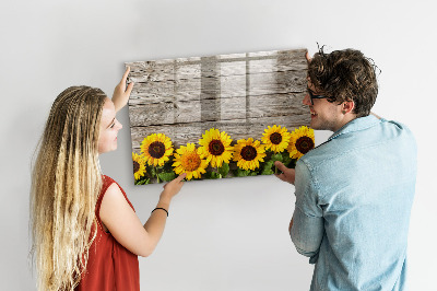 Magnetic erase board Sunflowers