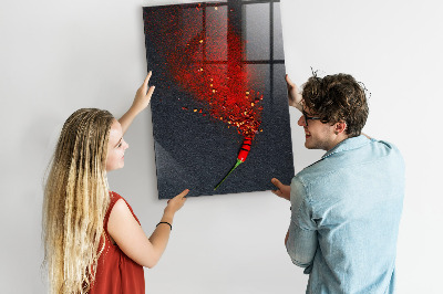 Dry erase board magnetic Paprika Powder